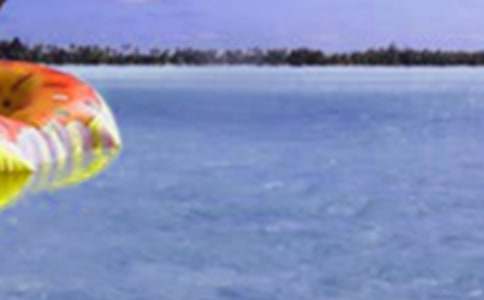 ��ѧ���������ʵ������14ƪ