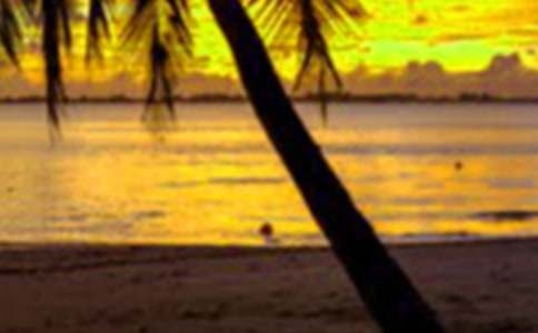 ѧ�����ڴ����ʵ������