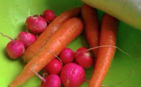 ��������������߻���ϼ���13ƪ��