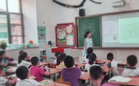 劳动课的教学反思