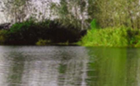 �������ľ�ɫΪ���������