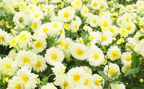 ���оջ�������300�ֺϼ�8ƪ