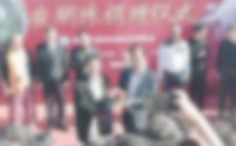 ������ʽ������