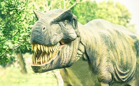 城里来了大恐龙教案