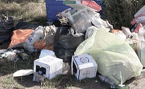 垃圾社会实践报告范文