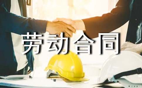 正规劳动合同模板(热门)