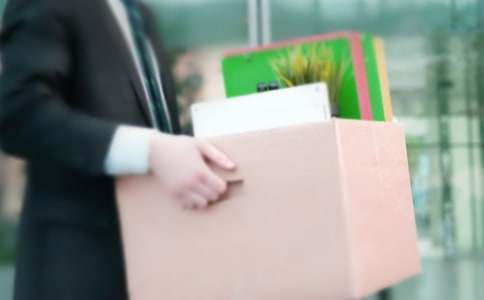 ��������ְ�����汨��