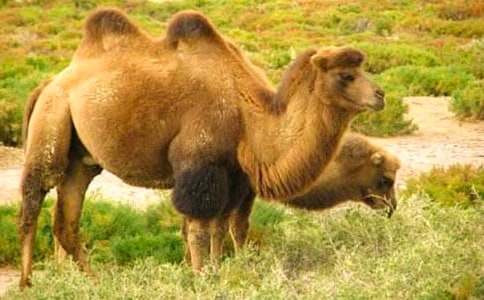 �������ա���ѧ��˼(����15ƪ)