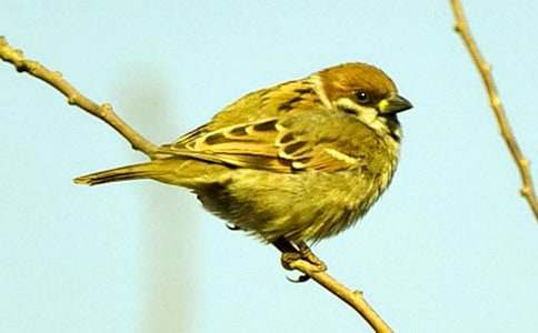 �������ȸ��ѧ��˼���ģ�ͨ��7ƪ��