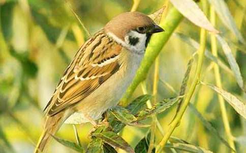 С��ȸ�̰��ϼ���ƪ