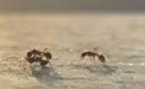 ���ϵľ����̰�