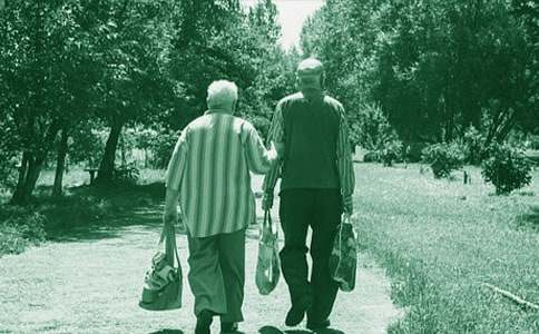 ����ѡ���ҵ�����Сѧ������ƪ