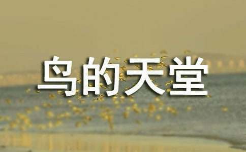 ʵ�õ�������ý̰�3ƪ