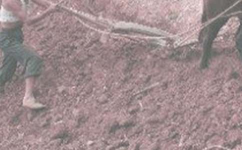 ��ũ������ʵ������