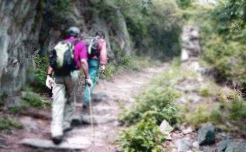 爬山虎的脚教案