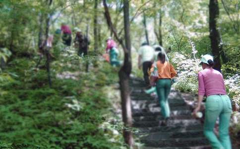 ��ɽСѧ����