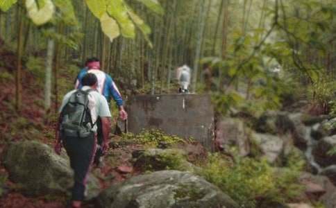 ��ɽ����������