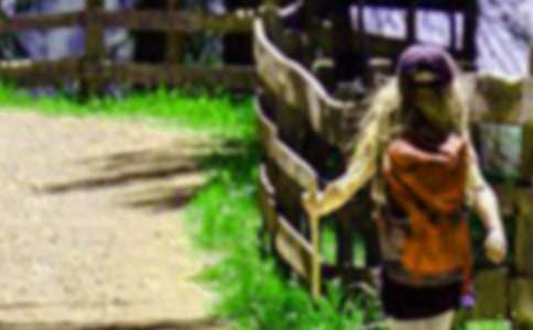 ����ɽ���Ľš���ѧ��˼������15ƪ��