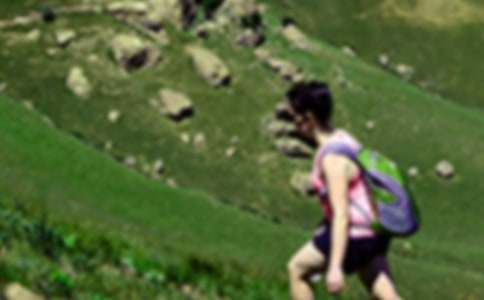 ��ɽСѧ����(����15ƪ)