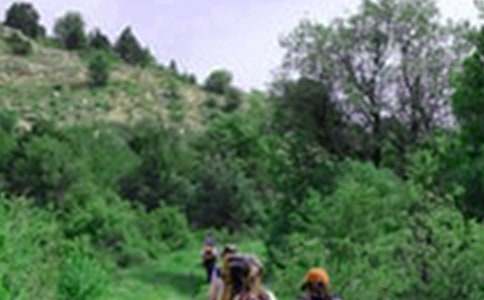 ��ɽ��߻��鷶��(��)