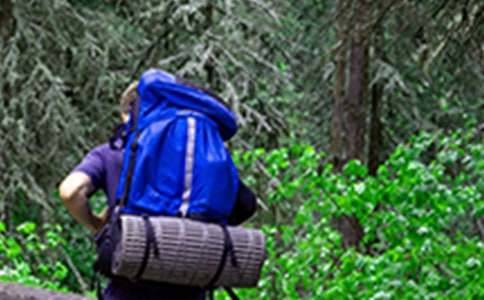 爬山小学作文(精选15篇)