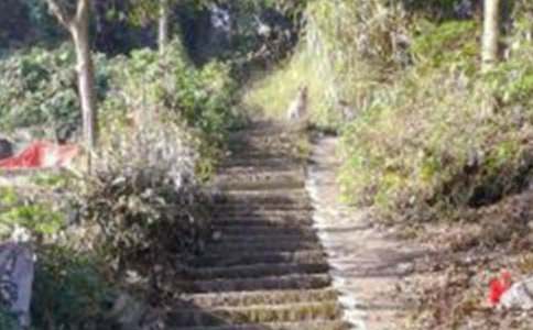 ��ɽ��������