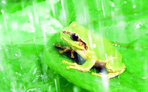 ������������ѧ��˼��ͨ��5ƪ��