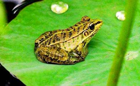 ��С�����Ҽҡ��̰����Ļ��8ƪ