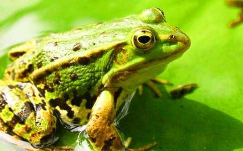 �����ܿ�������ѧ�������