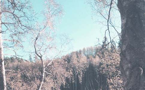 秋季小班工作计划锦集八篇