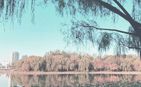 �＾������ѧ��ͯԤ������֤���鹤���ܽ�