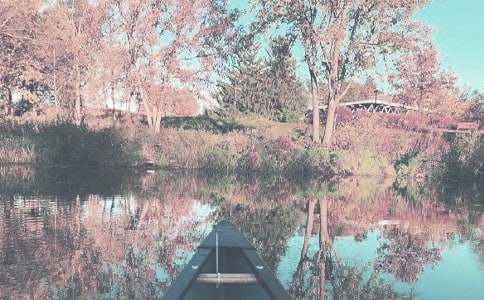 �а��＾���˹����ƻ�