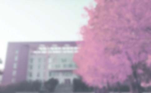 秋季学期学前班教学工作总结