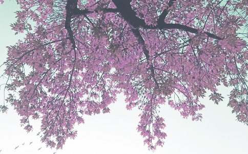 �＾��ѧ�ܽ᷶�Ļ��5ƪ