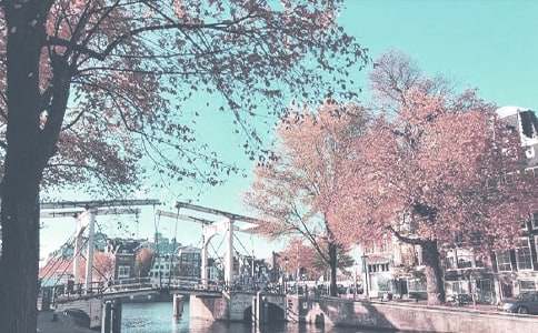 ʵ�õ��＾С�๤���ƻ���ƪ