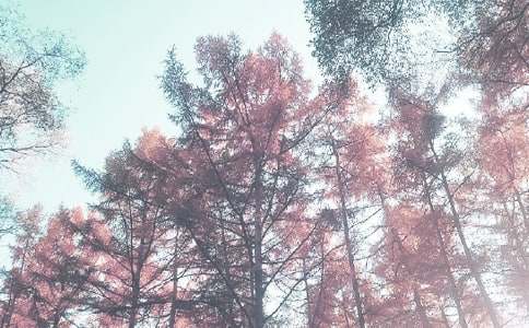 �＾ѧ�ڽ�ѧ�ܽ�