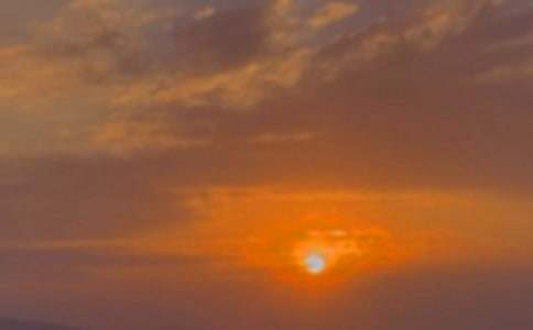 ʵ�õ�����Сѧ������ƪ