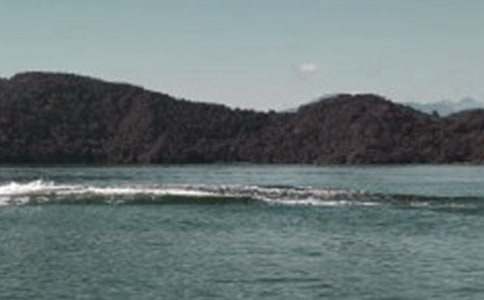 日月潭说课稿12篇