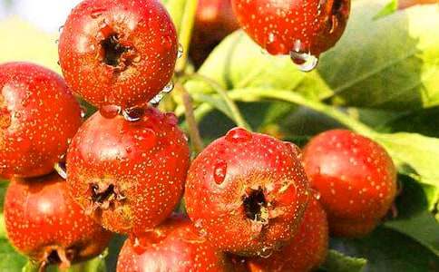 ɽ���֮���Ķ���з���