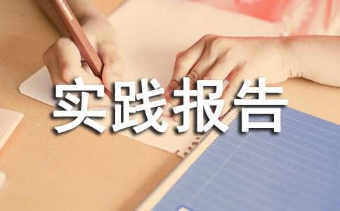 物流社会实践报告范文