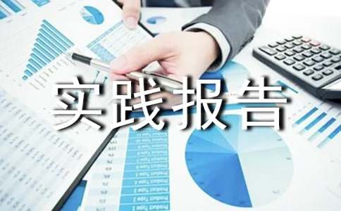 社会实践报告15篇(集合)