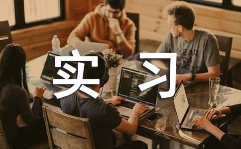 ǯ��ʵϰ�Ĺ����ܽ���8ƪ