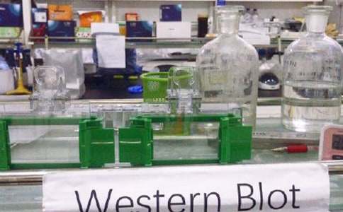 小学科学实验室工作总结