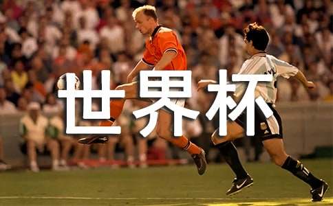 ���籭�ۺ��10ƪ