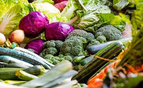 认识蔬菜教案汇总五篇