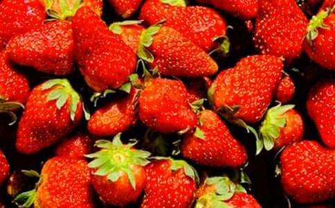 ˮ��������ͬ15ƪ[�ر�]