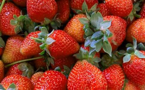 [�ϼ�]ˮ��������ͬ15ƪ