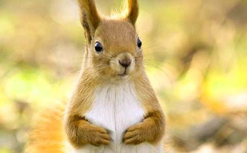 ����ļҽ�ѧ��˼