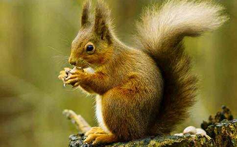 ����ֻ���󡷽�ѧ��˼