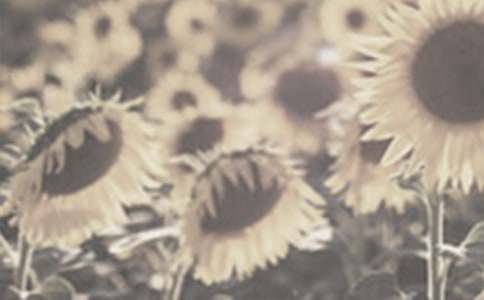 �����̫����Ů�������